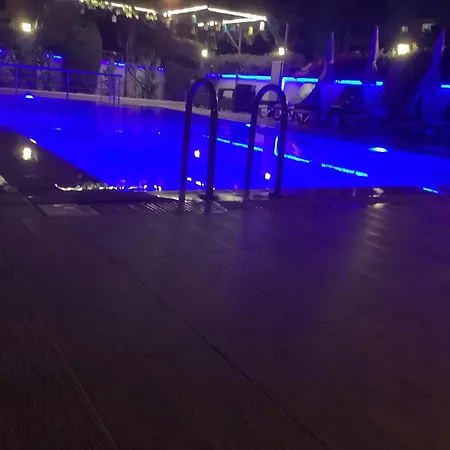 White Gold Avokado Alanya