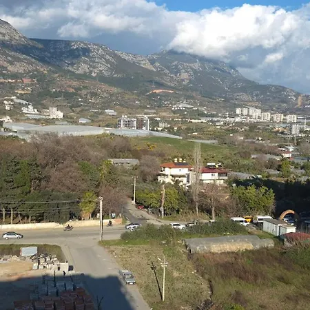 White Gold Avokado *